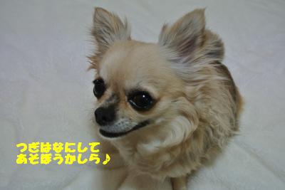 20130412+021_convert_20130412095858.jpg