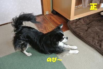 20130412+022_convert_20130416150138.jpg