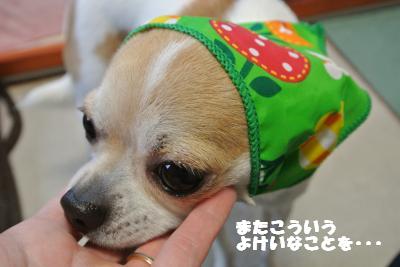 20130415+001_convert_20130416150523.jpg