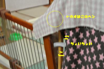 20130415+009_convert_20130415110725.jpg