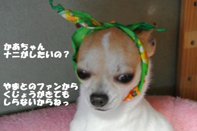 20130415+010_convert_20130416150453.jpg