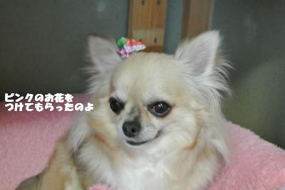 20130415+011_convert_20130416150319.jpg