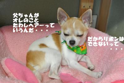 20130415+012_convert_20130416150346.jpg