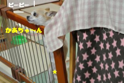 20130415+020_convert_20130415110809.jpg