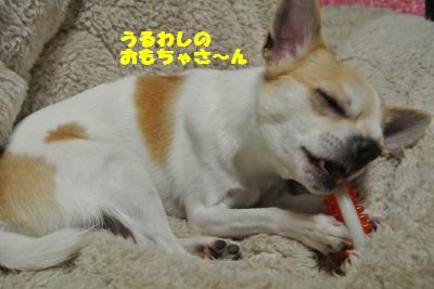 20130415+027_convert_20130419101639.jpg