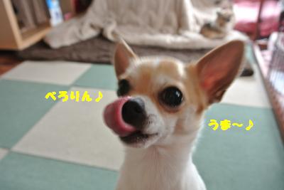 20130415+030_convert_20130415110906.jpg