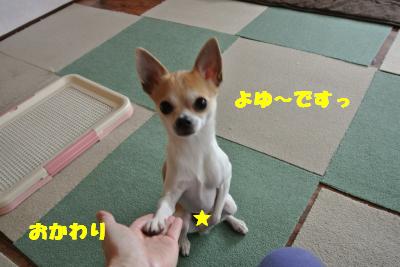 20130415+033_convert_20130415110936.jpg