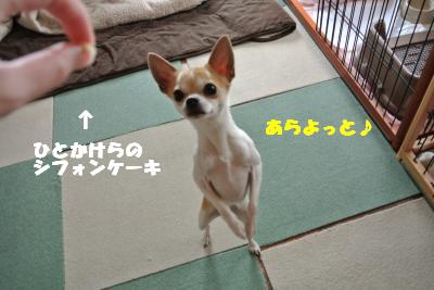 20130415+035_convert_20130415111028.jpg
