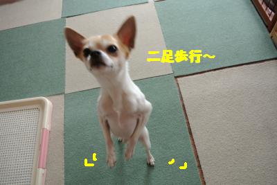 20130415+037_convert_20130415111121.jpg