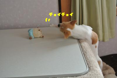 20130416+003_convert_20130416103324.jpg