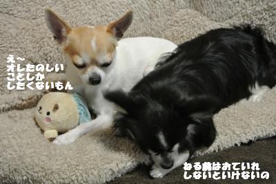 20130416+004_convert_20130416103430.jpg