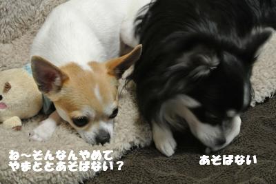 20130416+007_convert_20130416103553.jpg