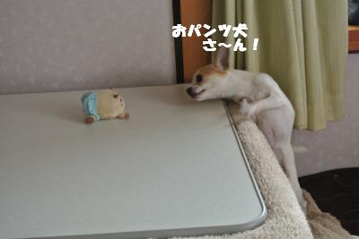 20130416+008_convert_20130416103626.jpg