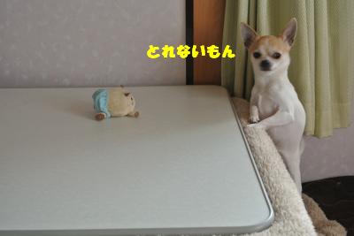 20130416+009_convert_20130416103659.jpg