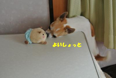 20130416+012_convert_20130416103803.jpg