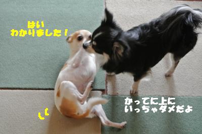 20130416+015_convert_20130416104006.jpg