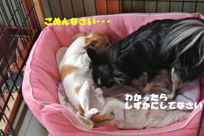 20130416+018_convert_20130419101820.jpg