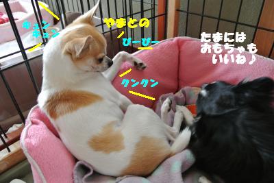 20130418+011_convert_20130419102139.jpg
