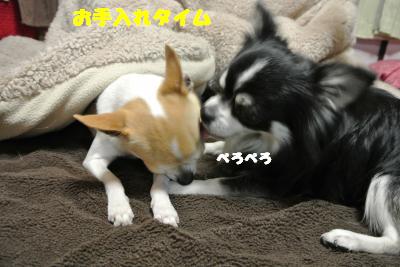 20130418+013_convert_20130418103529.jpg