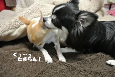 20130418+015_convert_20130418103642.jpg