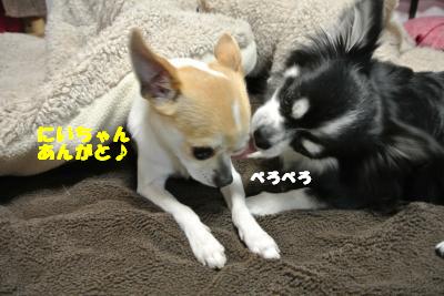 20130418+016_convert_20130418103715.jpg