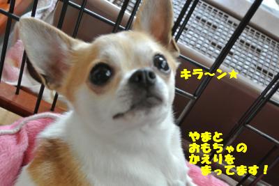 20130418+019_convert_20130419102231.jpg