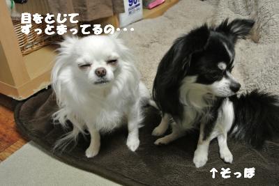 20130418+026_convert_20130418103858.jpg
