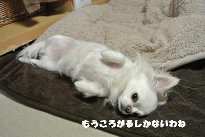 20130418+030_convert_20130418104100.jpg