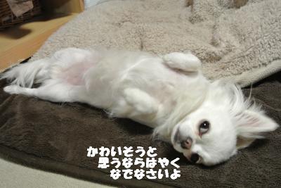 20130418+031_convert_20130418104126.jpg