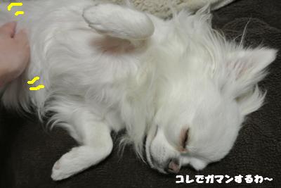 20130418+032_convert_20130418104151.jpg