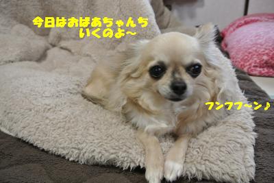 20130419+002_convert_20130419102527.jpg