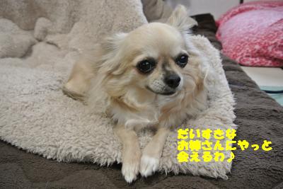 20130419+003_convert_20130419102719.jpg