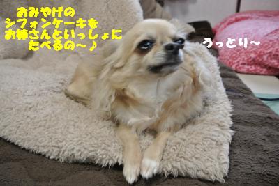 20130419+004_convert_20130419102749.jpg
