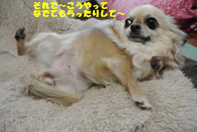 20130419+005_convert_20130419102819.jpg