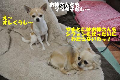 20130419+007_convert_20130419102954.jpg