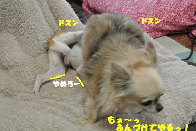 20130419+008_convert_20130419103219.jpg