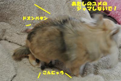 20130419+009_convert_20130419103253.jpg