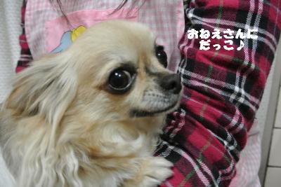 20130422+006_convert_20130422133957.jpg