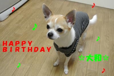 20130422+009_convert_20130529104136.jpg