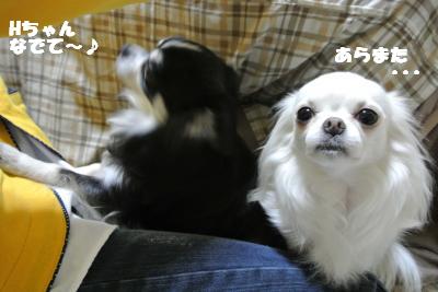 20130422+021_convert_20130422134143.jpg