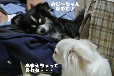 20130422+022_convert_20130422134032.jpg