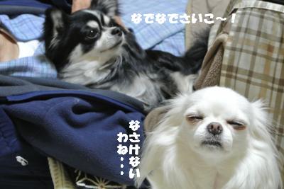 20130422+024_convert_20130422134109.jpg