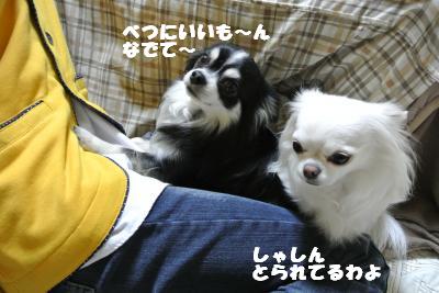 20130422+025_convert_20130422134209.jpg