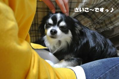 20130422+034_convert_20130422134335.jpg
