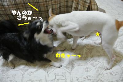 20130422+037_convert_20130422134419.jpg