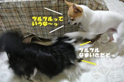 20130422+038_convert_20130422134447.jpg