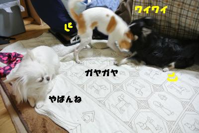 20130422+039_convert_20130422134513.jpg