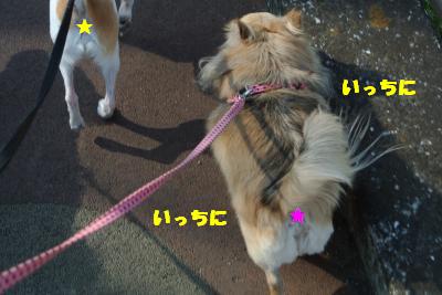 20130423+004_convert_20130425095116.jpg