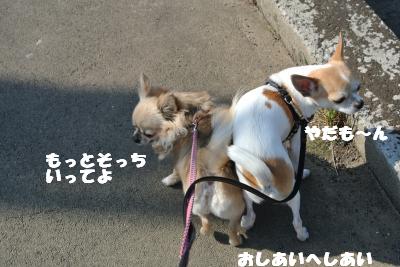 20130423+006_convert_20130425095142.jpg
