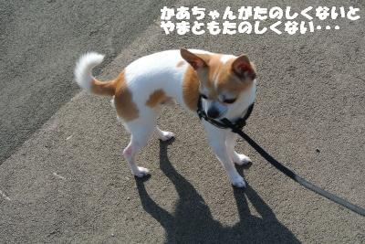 20130423+008_convert_20130426101127.jpg